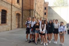IMG_20240413_103350_969