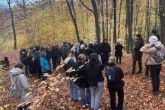 Messenger_creation_B340FF76-179B-4091-B1B0-E0DA8376A20B