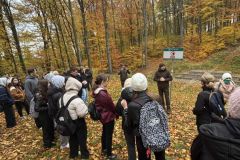 Messenger_creation_E31AF1D8-6524-4728-8A26-FE3A7B207230